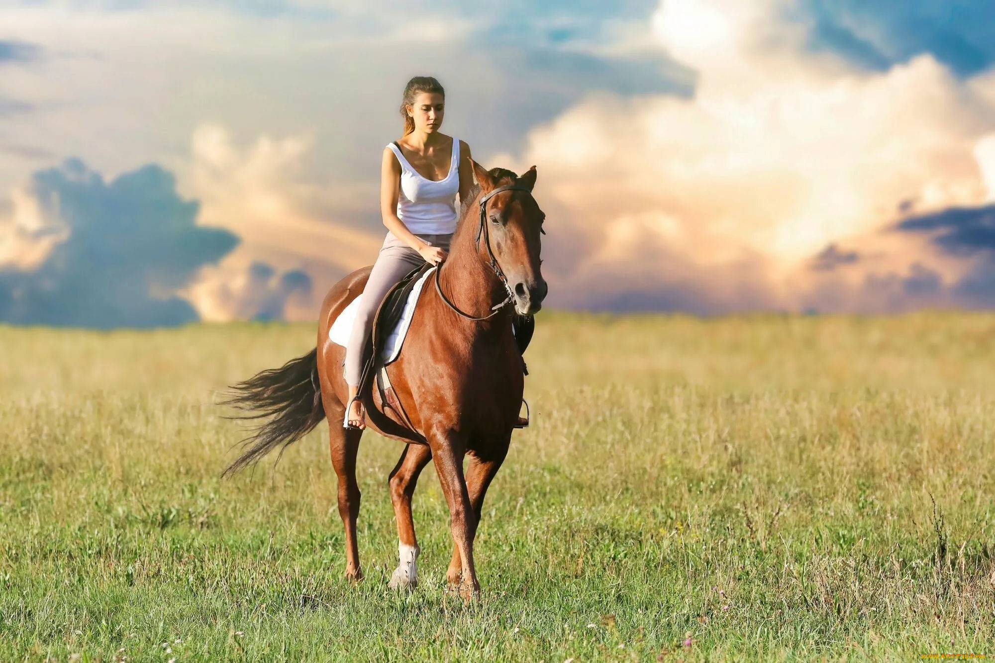 Девушки катаются на лошадях